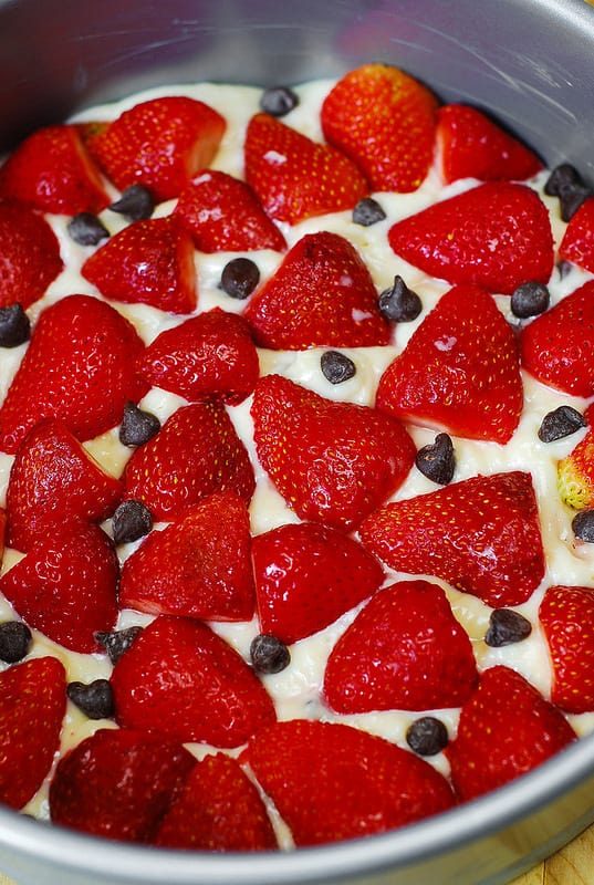 strawberries and chocolate chips on top of cake batter in a springform baking pan