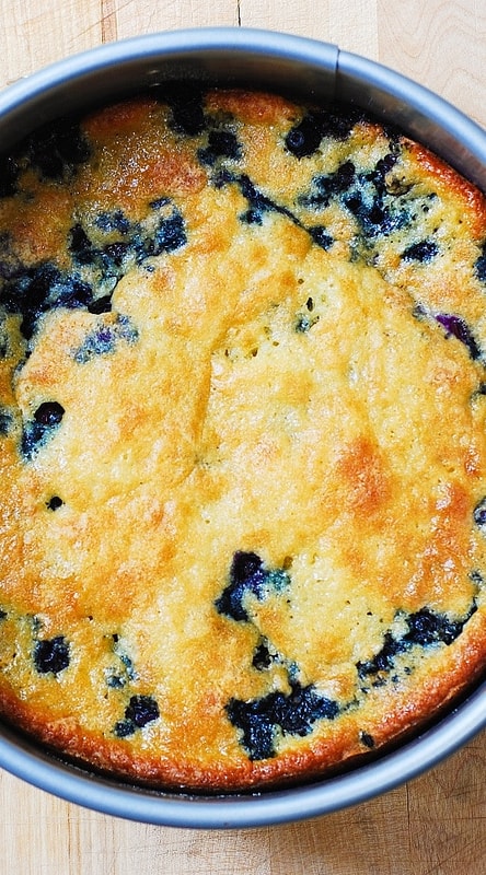 blueberry coffee cake, blueberry buttermilk cake, blueberry cake recipes, blueberry desserts, springform cake recipe, springform desserts
