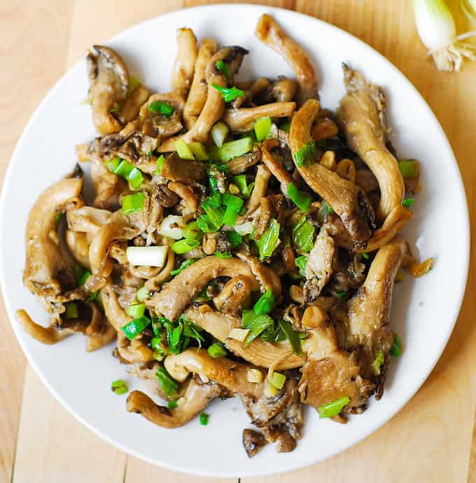 A Complete Guide To Oyster Mushrooms Grocycle