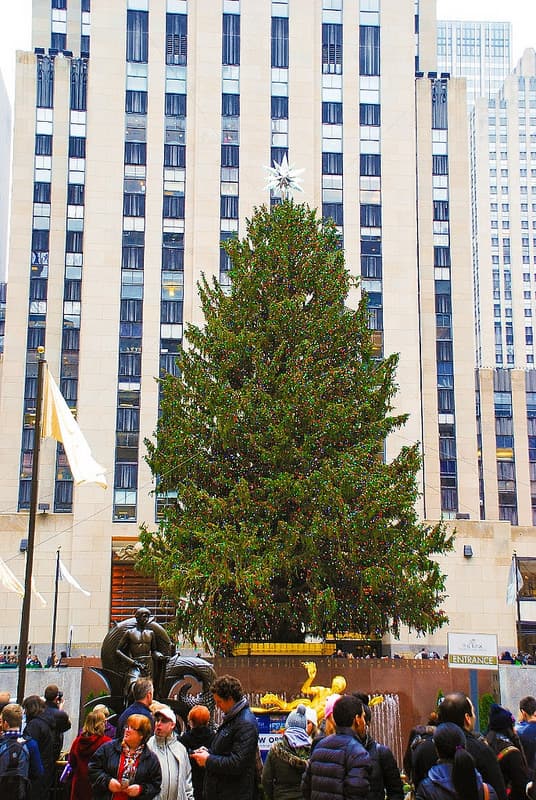 Christmas tree at Rockefeller Center