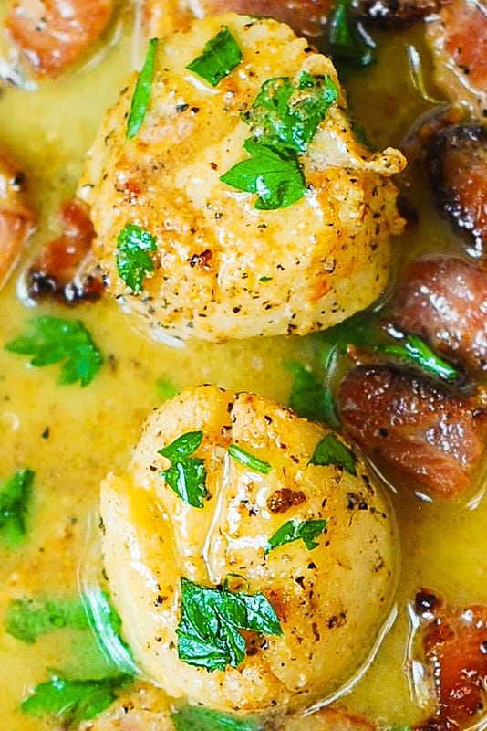 seafood recipes, shellfish recipes, scallop recipes, best way to cook scallops