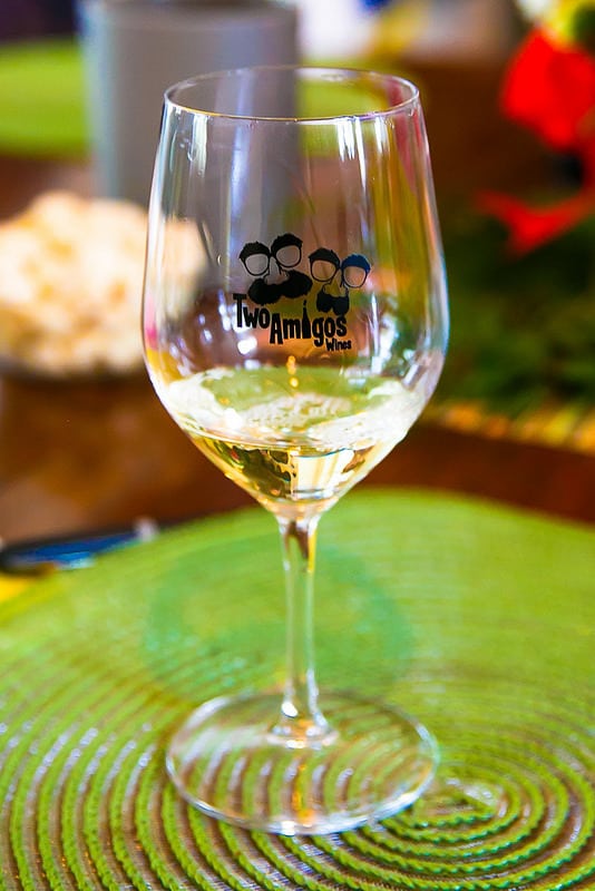 Sonoma Wine Tasting Tour, wine glass