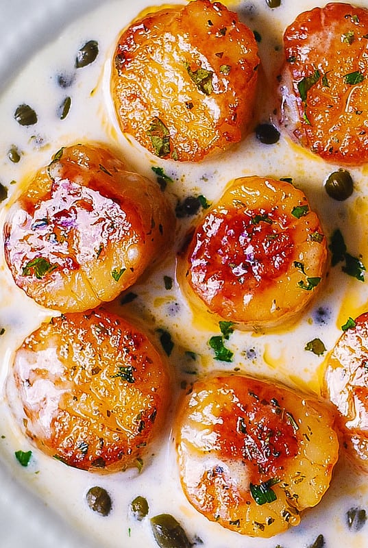Seared scallops with capers and creamy lemon sauce on a white plate