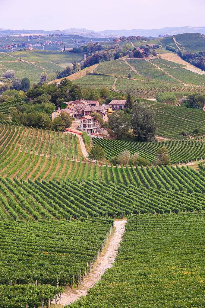 View of numerous wineries in Barolo, Piedmont