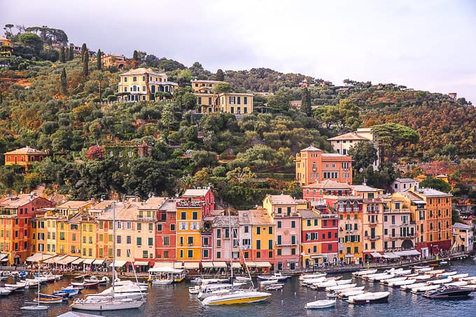 Wide-angle view of colorful buildings, boats, and luscious greenery in Portofino, Italy