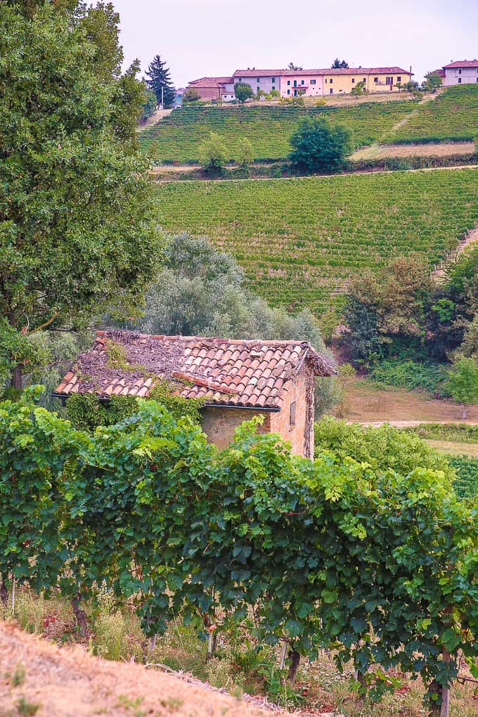 View from Villa Pattono, Piedmont, Italy