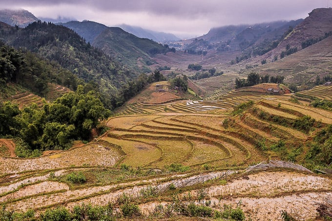 Rice Terraces in Sapa, Vietnam