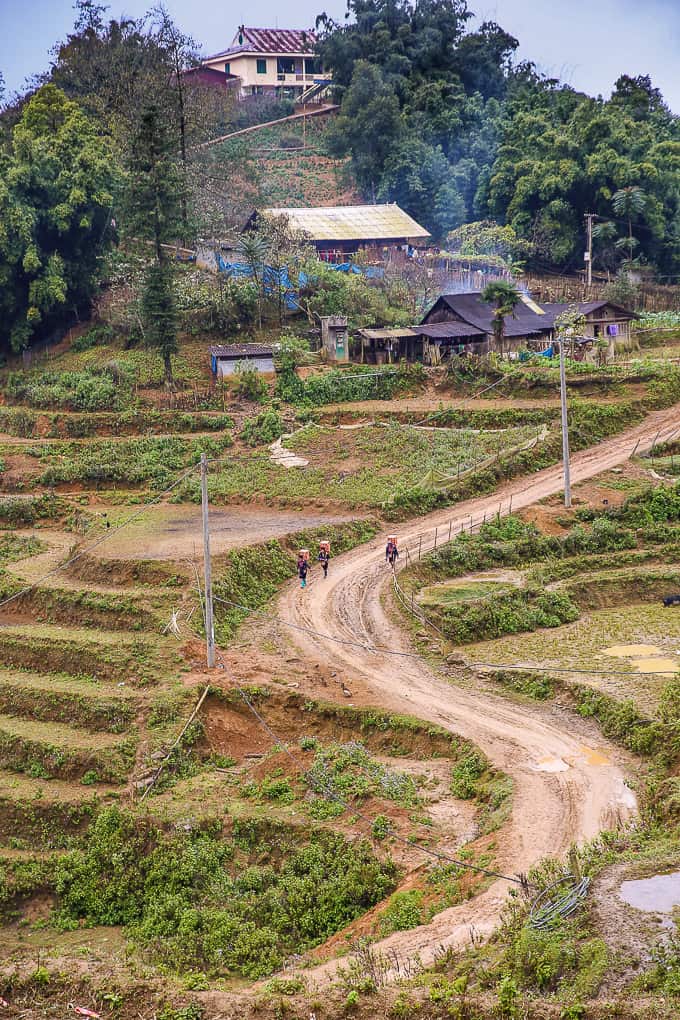 rice terraces near Cat Cat village, Vietnam