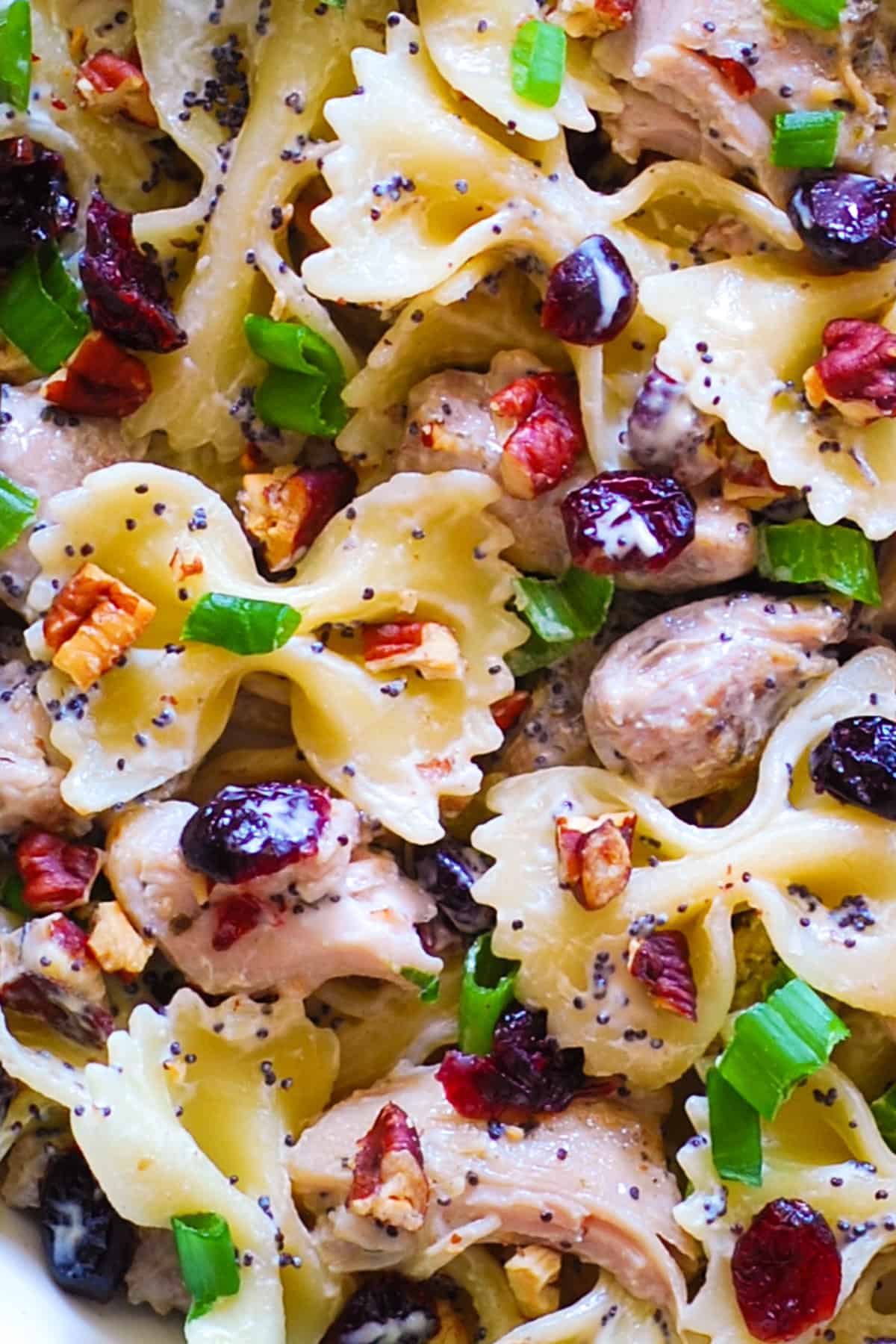 Chicken Pasta Salad with Pecans, Cranberries, and Creamy Poppy Seed Dressing - close-up photo.