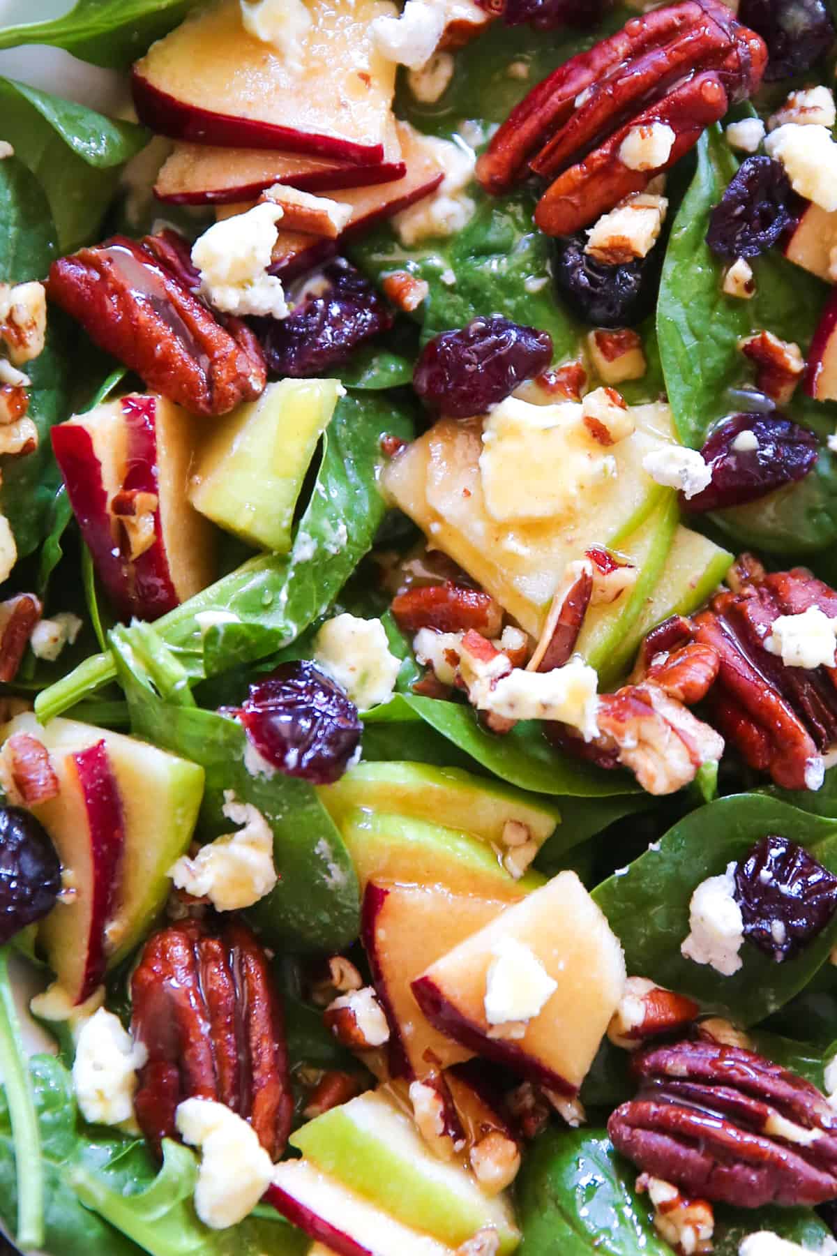 Apple Spinach Salad with Cranberries, Pecans, and Goat Cheese - close-up photo.