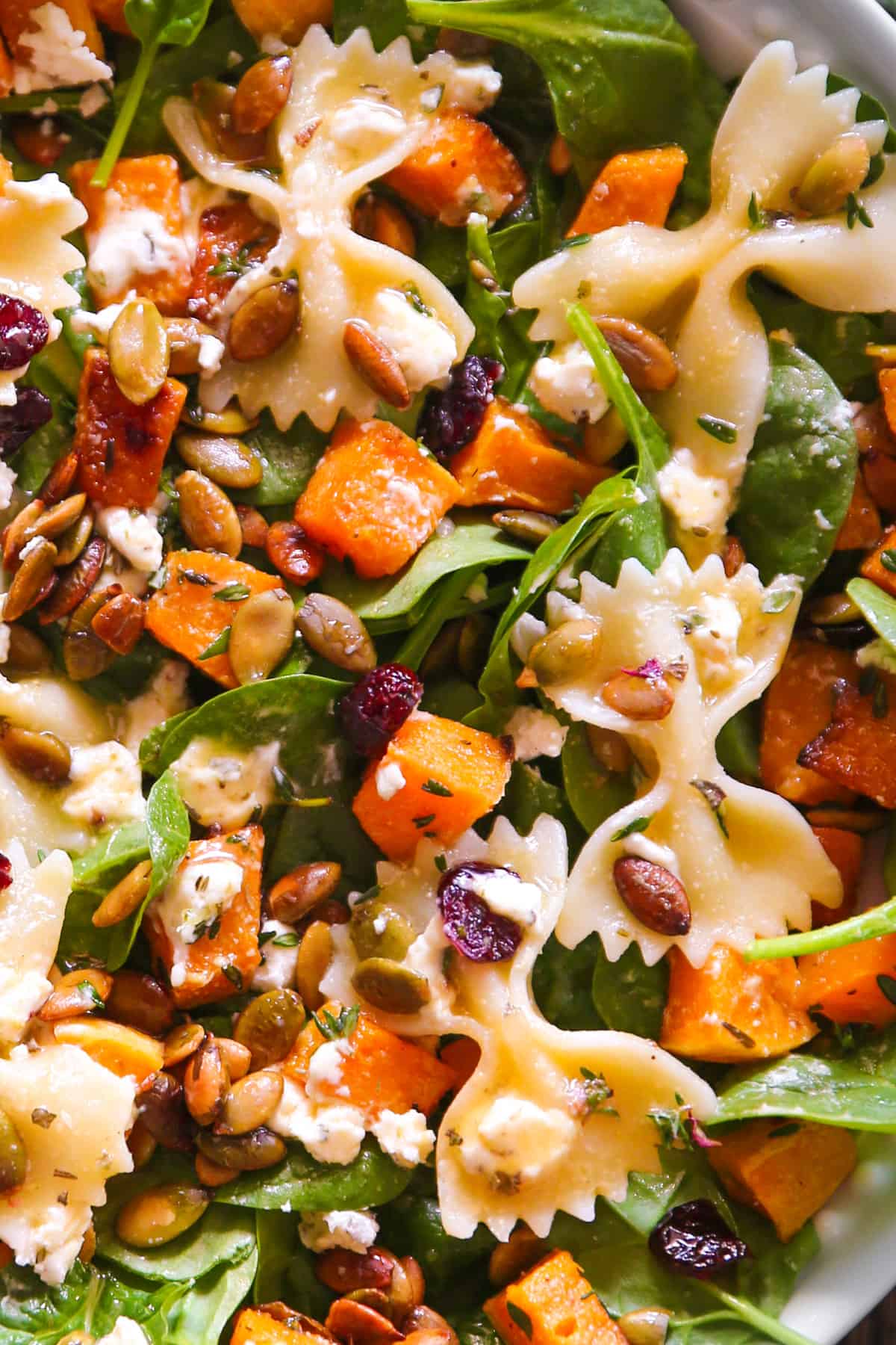 Fall Salad with roasted butternut squash, toasted pumpkin seeds, dried cranberries, baby spinach, creamy goat cheese, and bow-tie pasta - close-up photo.
