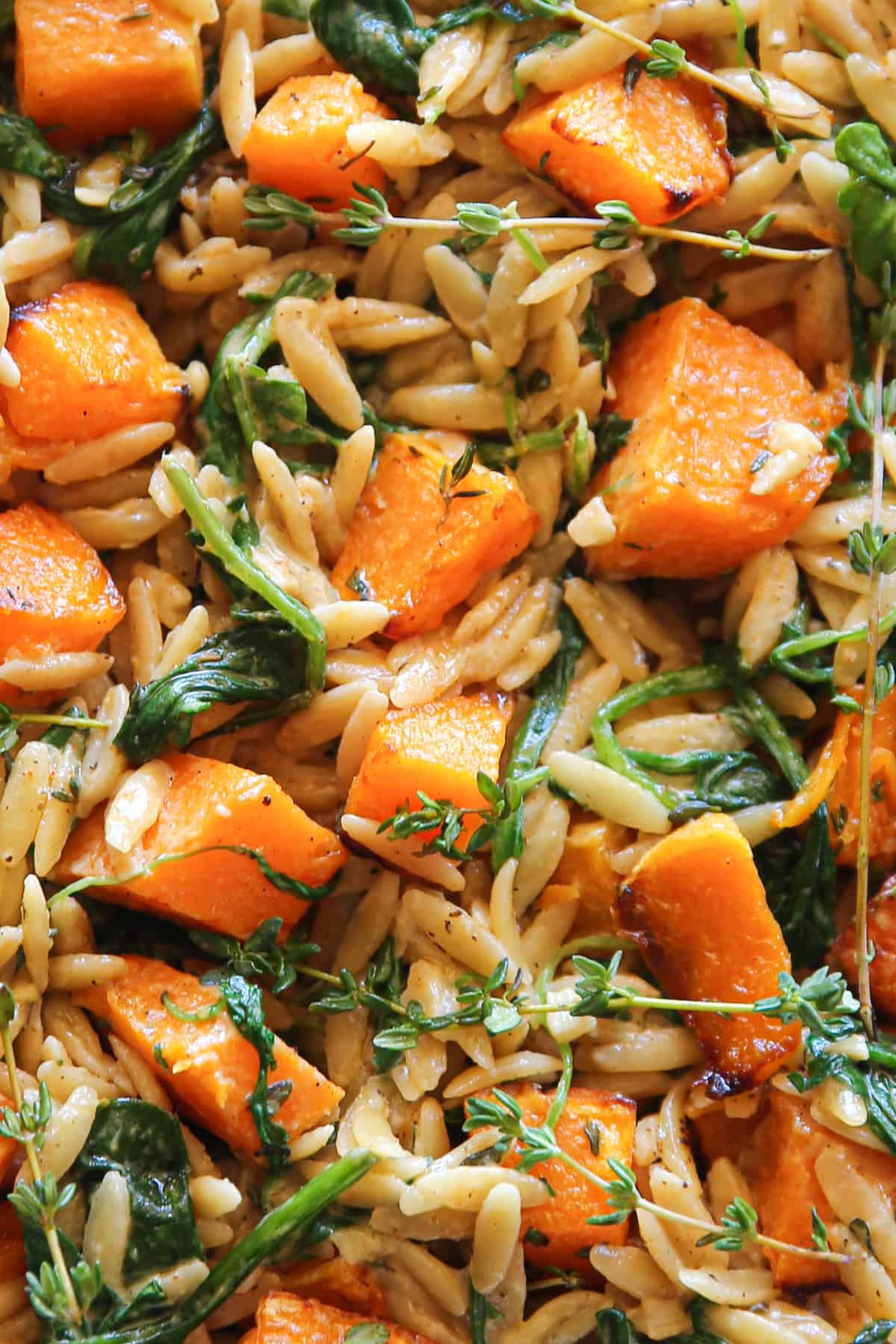creamy orzo pasta with butternut squash and spinach - close-up photo.