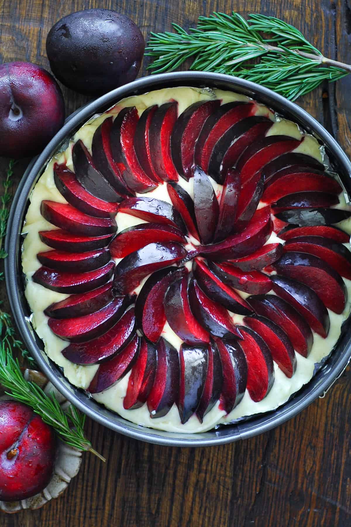 fresh plum slices arranged on top of the cake batter - in a springform baking pan.