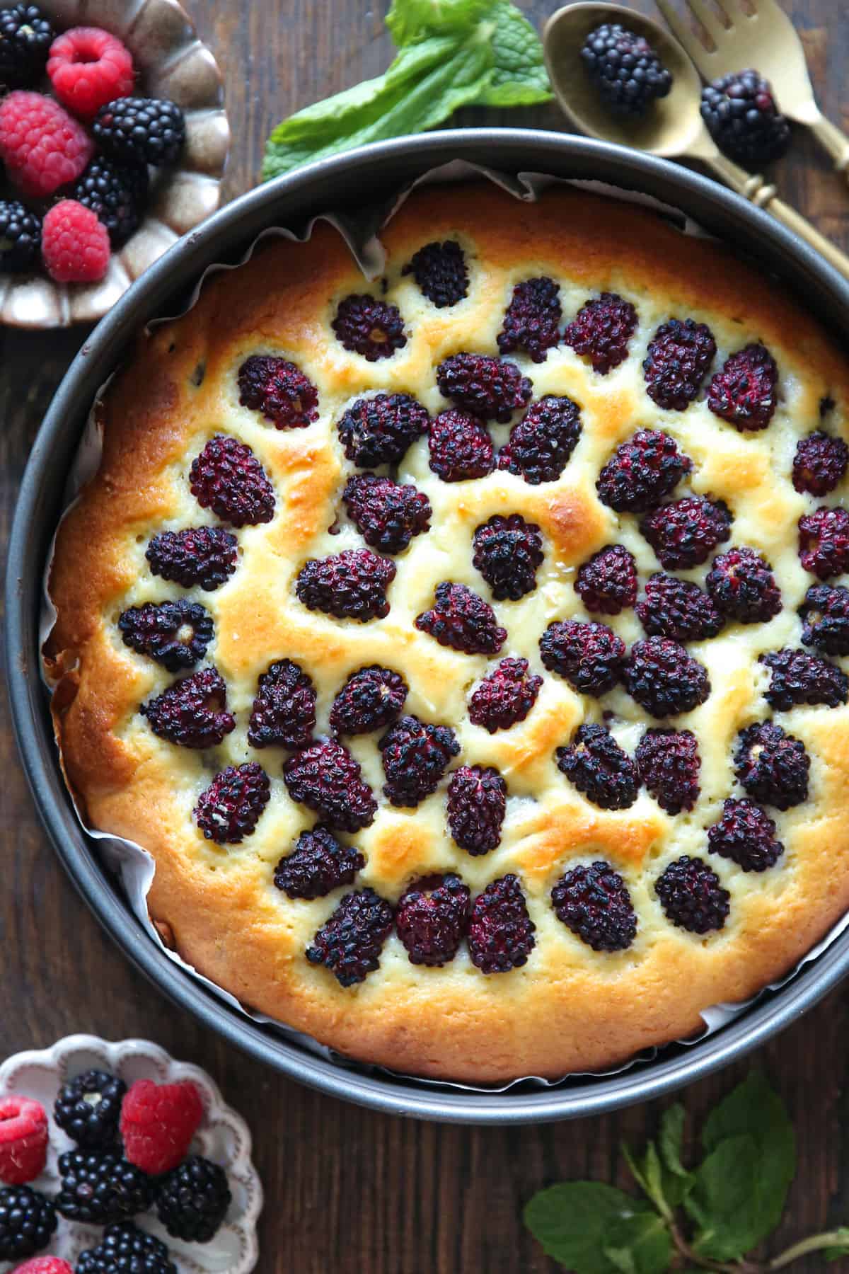 blackberry cake in a springform pan.