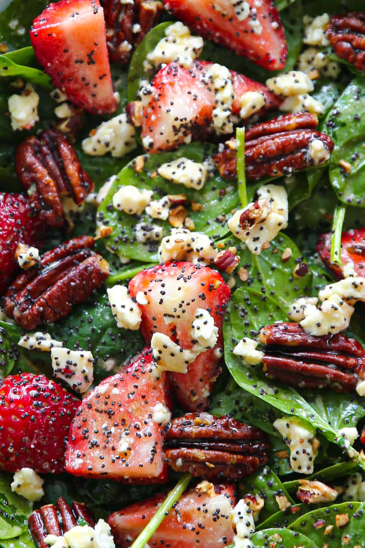 Strawberry Spinach Salad with Pecans, Feta Cheese, and Poppy Seed Honey Lemon Dressing (close-up shot).