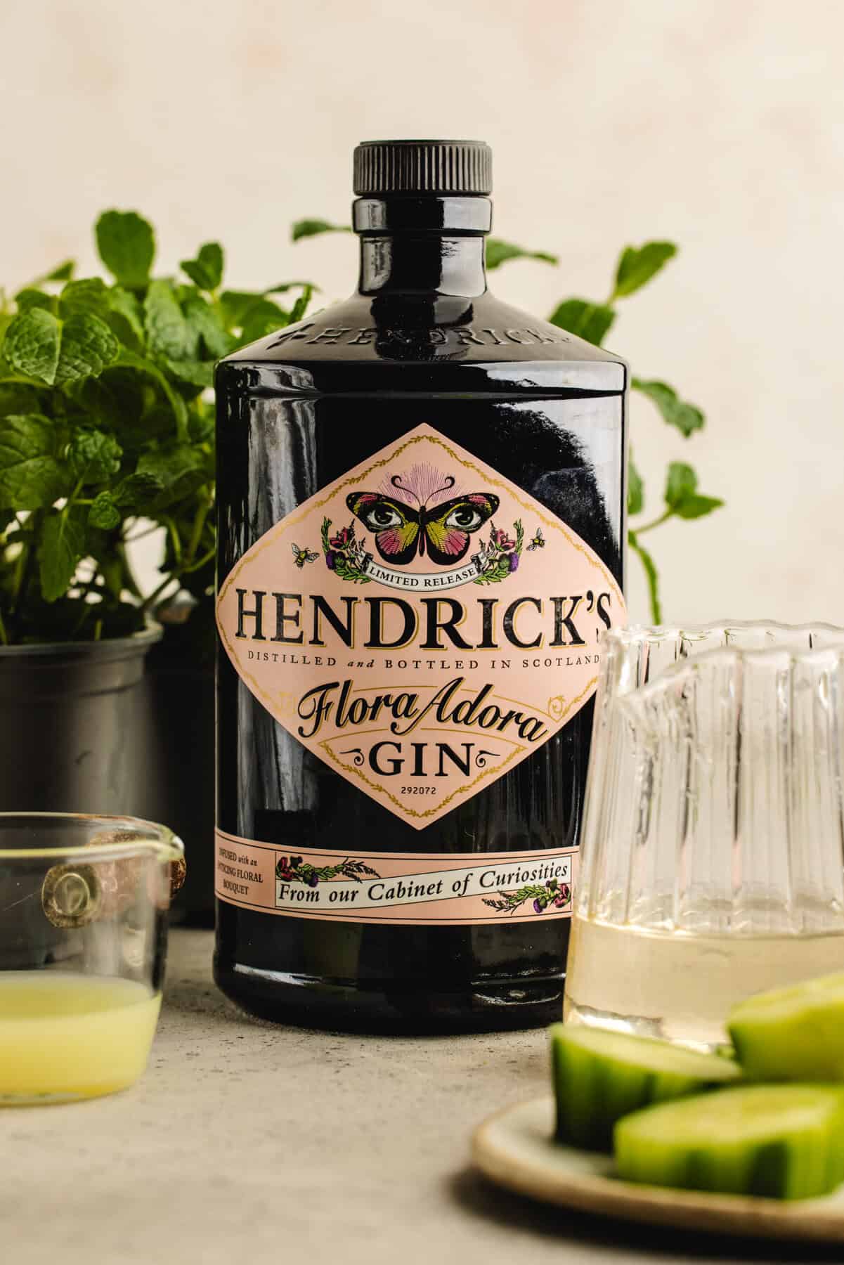 The Ingredients for Cucumber Gimlet A bottle of Hendrick's Gin with other ingredients for Cucumber Gimlet.