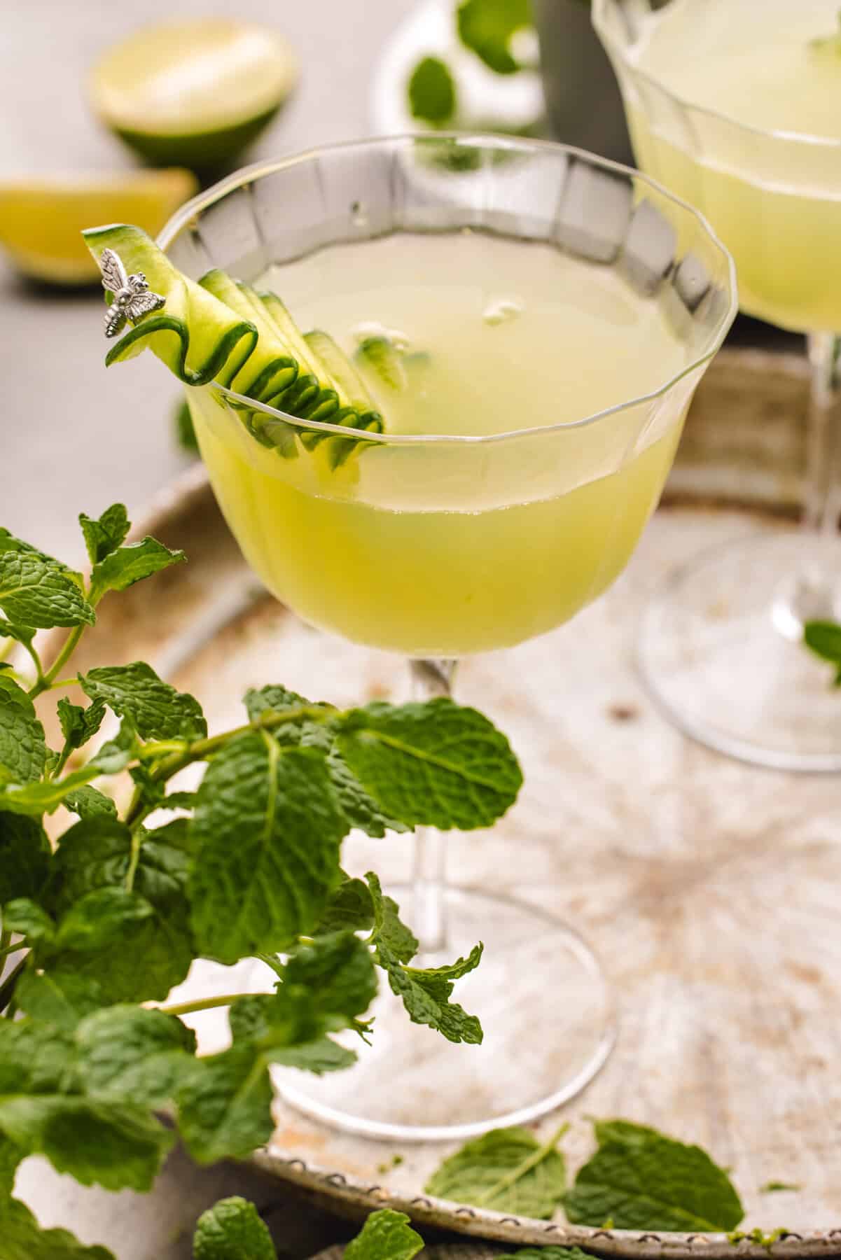 Cucumber Gimlet A glass of Cucumber Gimlet Cocktail garnished with a cucumber ribbon and mint leaves.