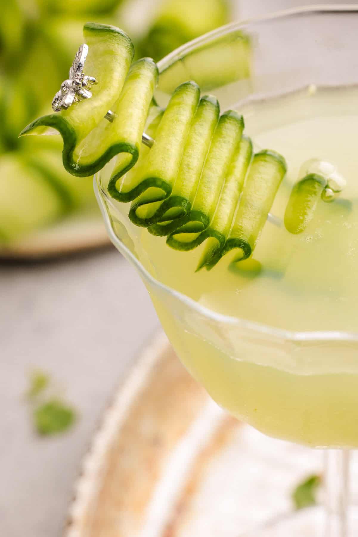 Cucumber Gimlet A close-up shot of A glass of Cucumber Gimlet Cocktail garnished with a cucumber ribbon.