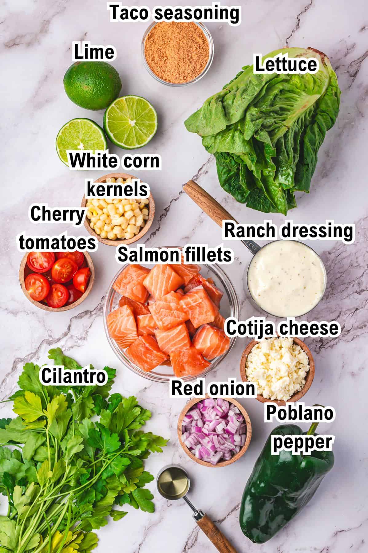The Ingredients for Mexican Salmon Salad Bowl This photo shows all the ingredients needed to make Mexican Salmon Salad Bowl with Roasted Poblano Ranch (with labels).