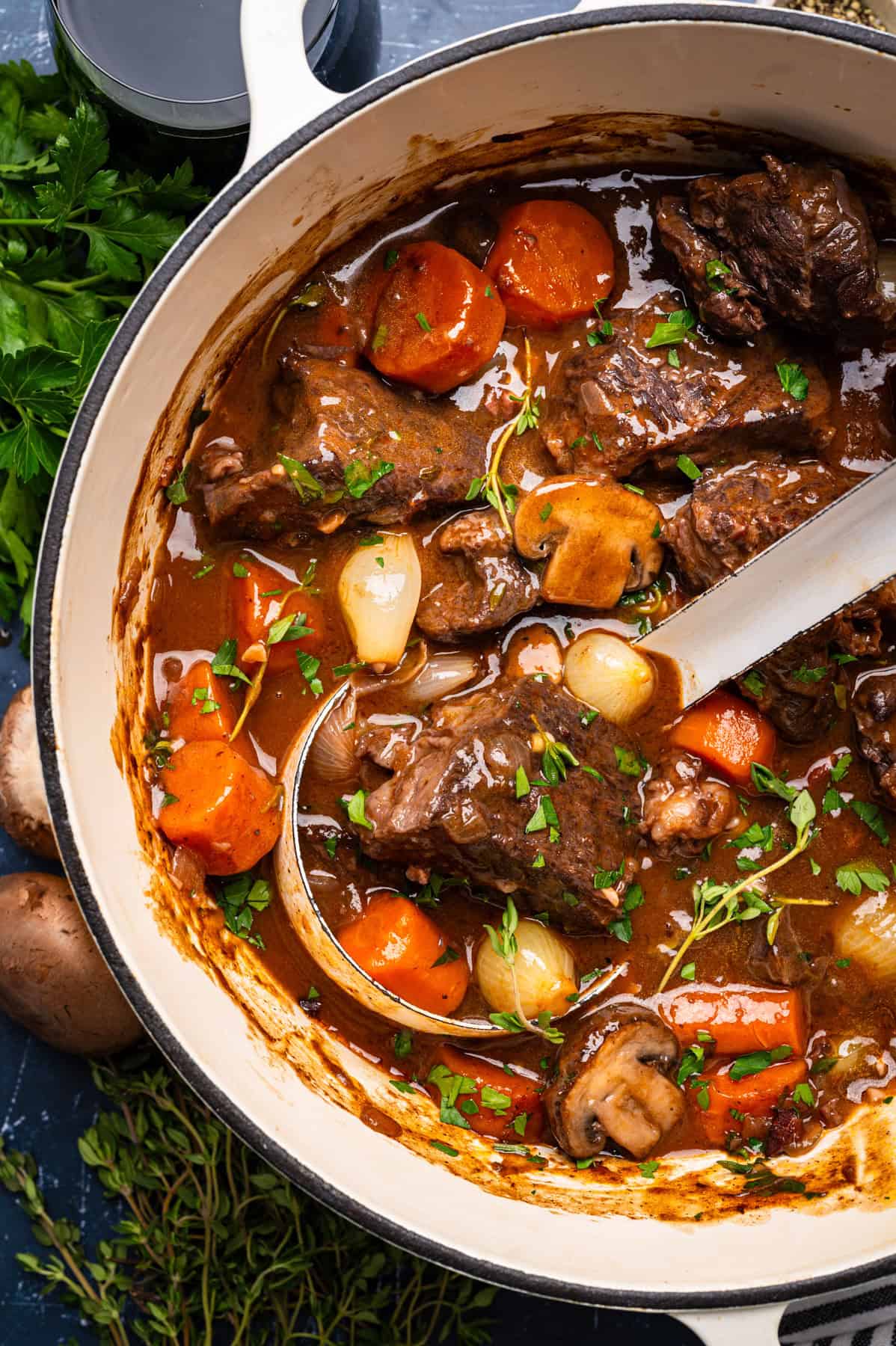 Beef Bourguignon in a white Dutch oven.
