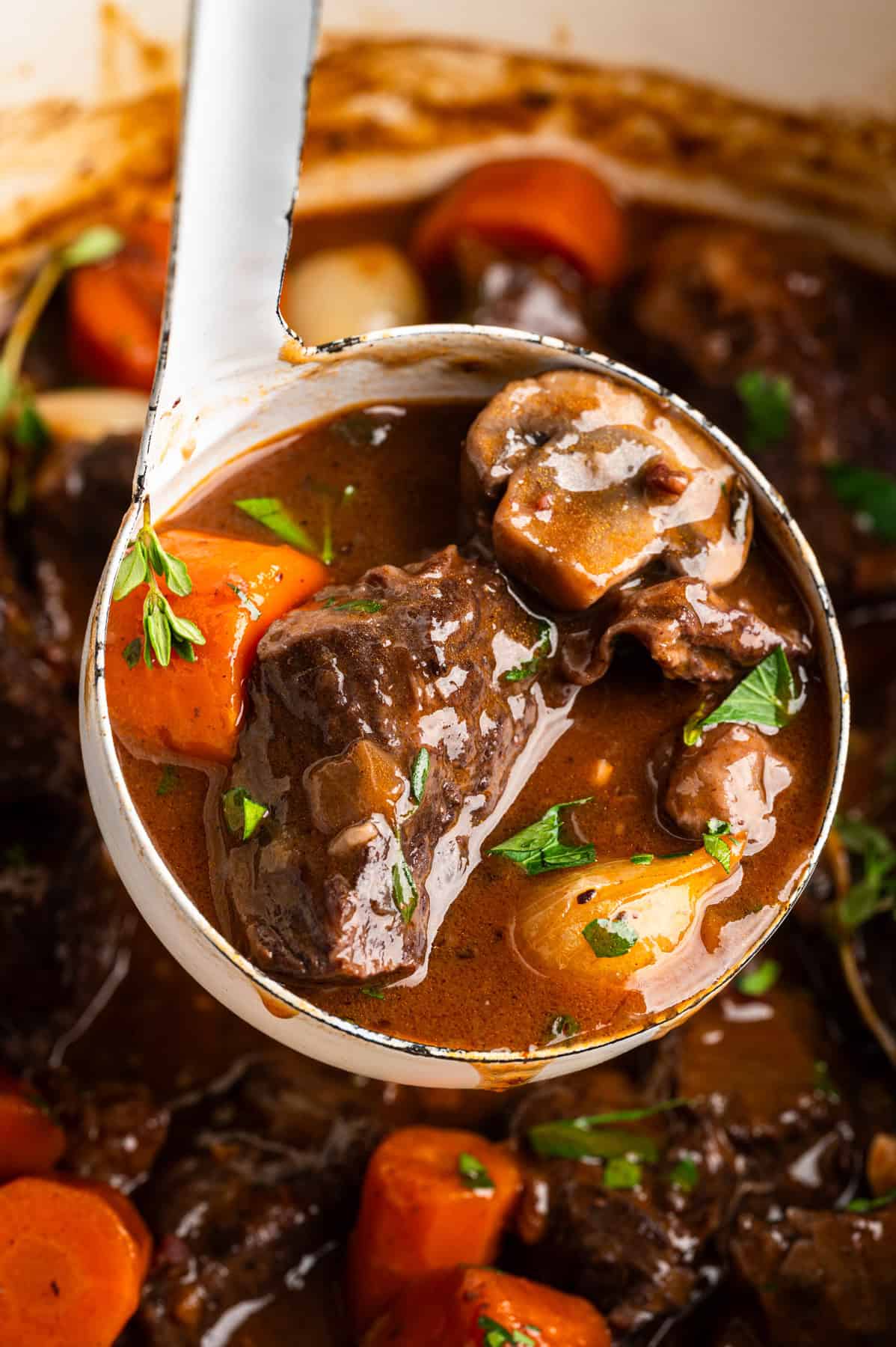 Beef Bourguignon in a large ladle.