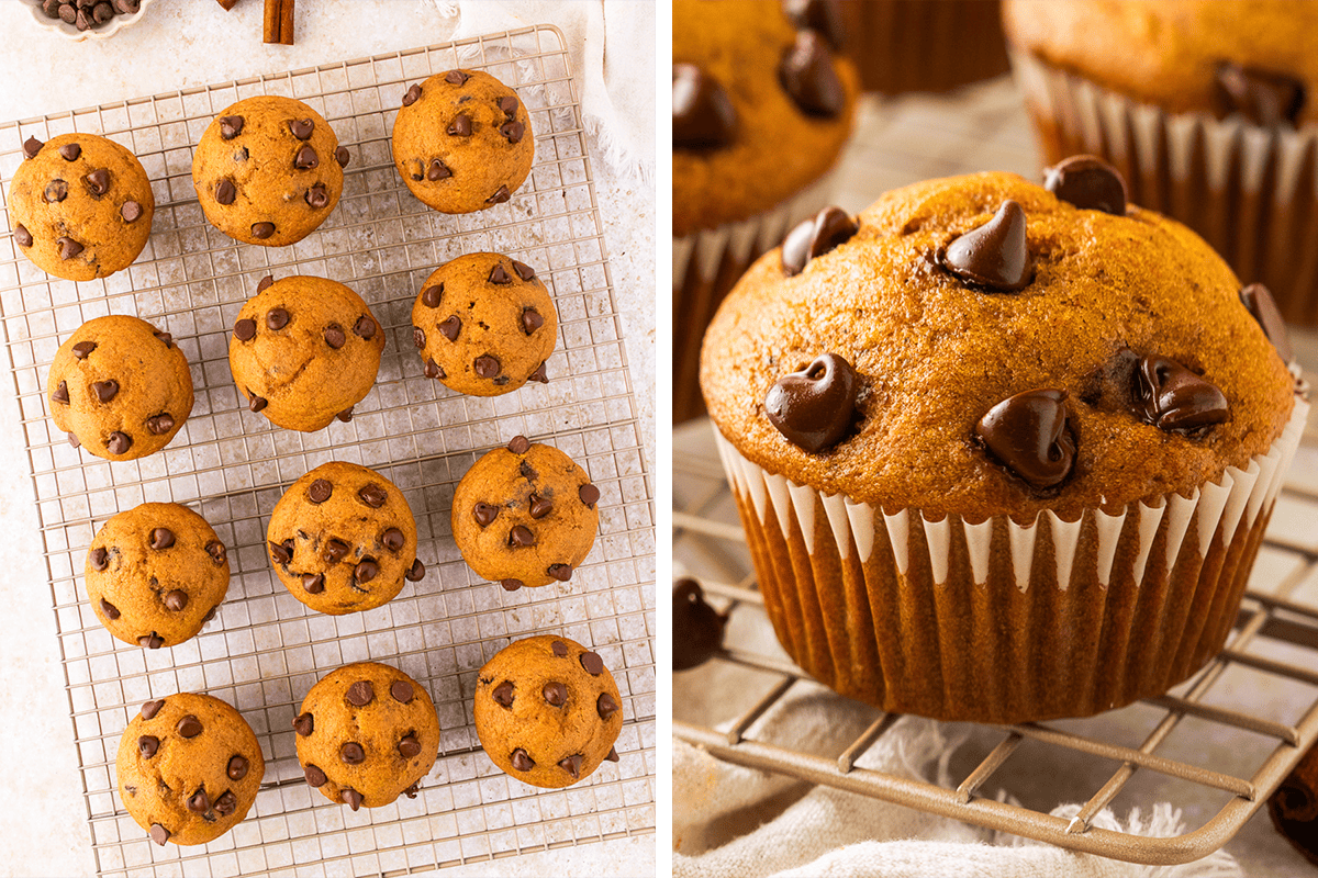 How to Make Pumpkin Chocolate Chip Muffins (Step-by-Step Photos) Twelve chocolate chip muffins cool on a wire rack; a close-up on the right shows one muffin with chocolate chips on top in a paper liner.