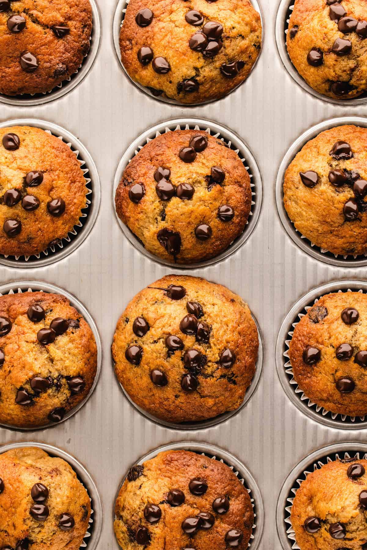 Banana Chocolate Chip Muffins - in a muffin pan.