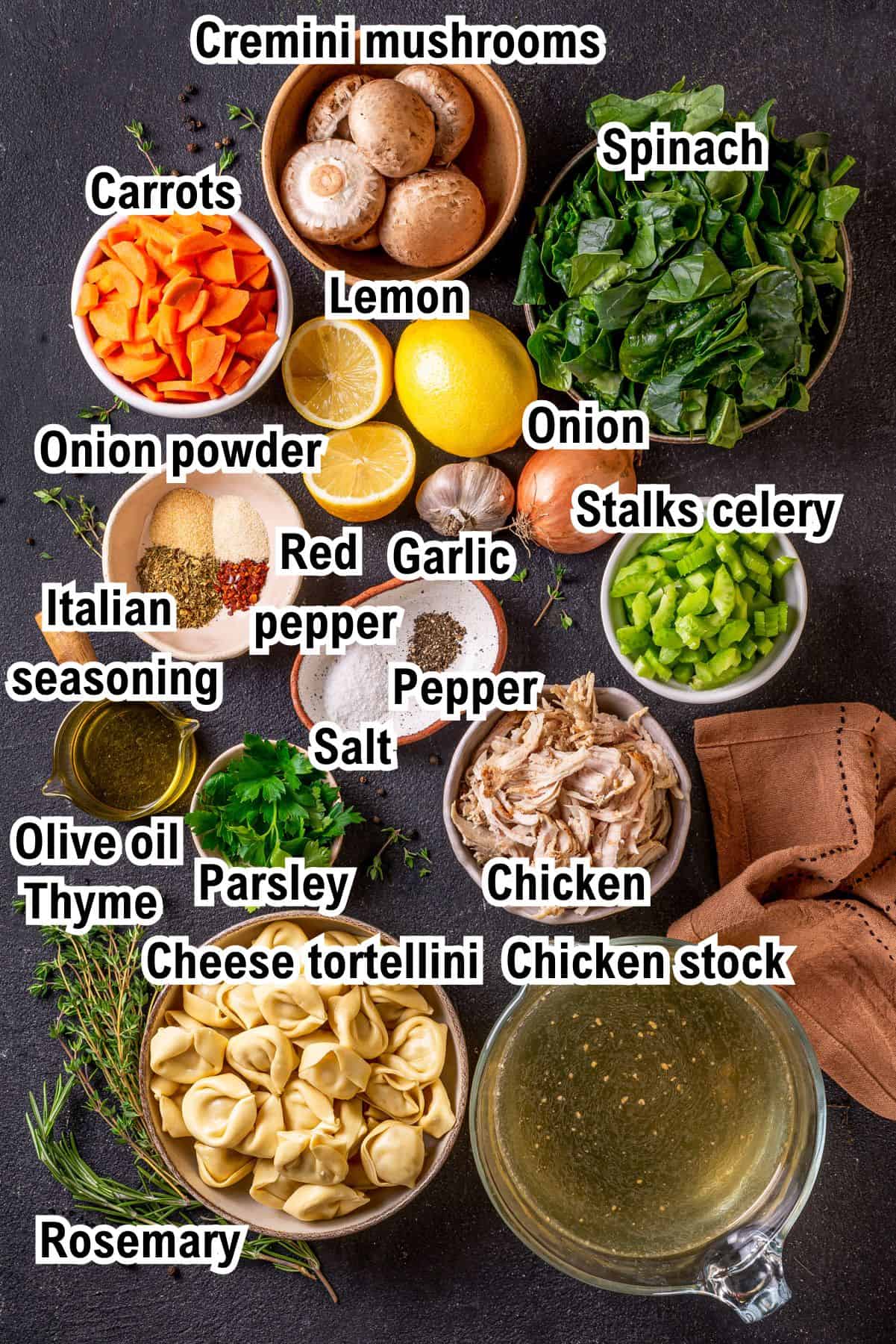 This photo shows all the Ingredients (labeled) for Chicken Tortellini Soup.