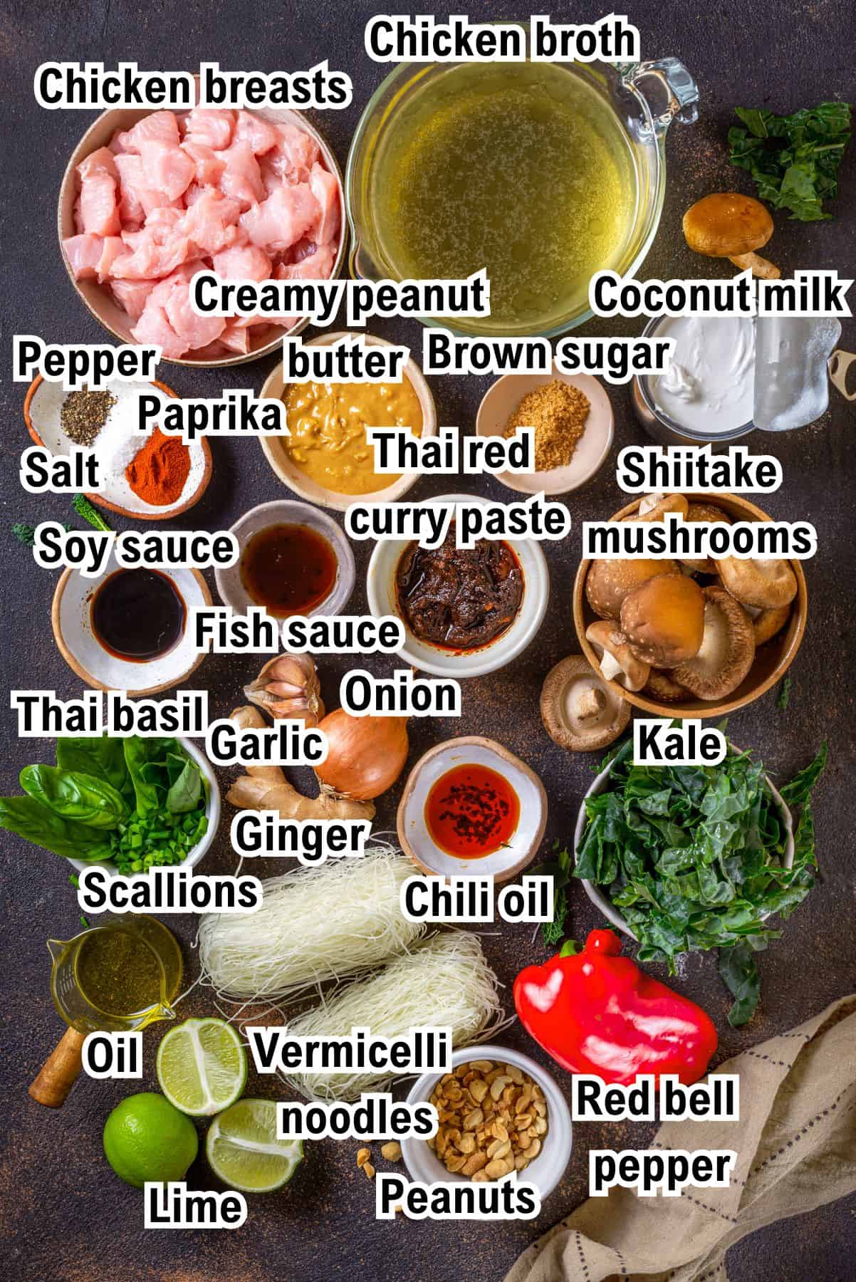 The Ingredients for Thai chicken curry soup.