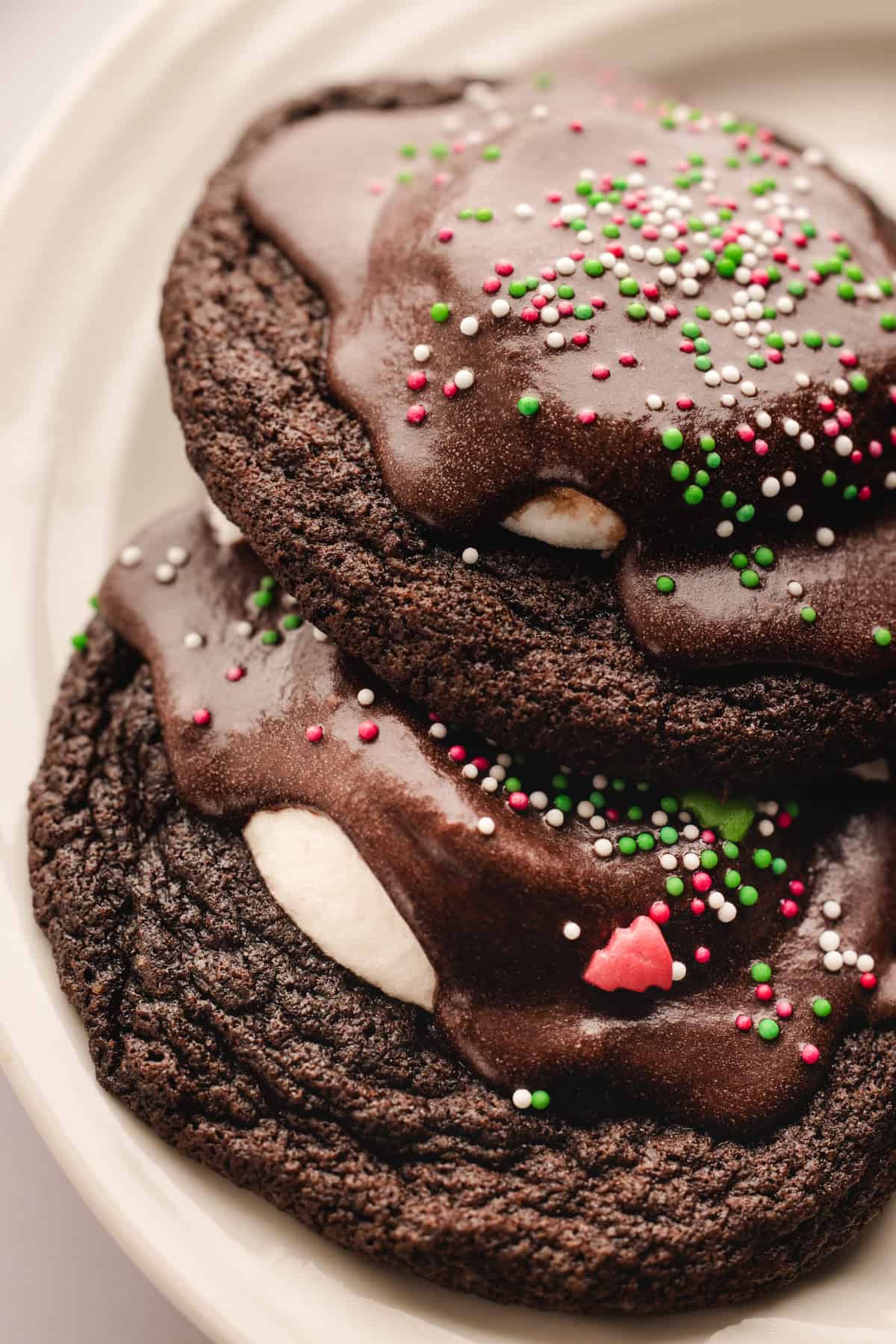 Hot Cocoa Cookies 2 Hot Cocoa Cookies (one on top of the other).