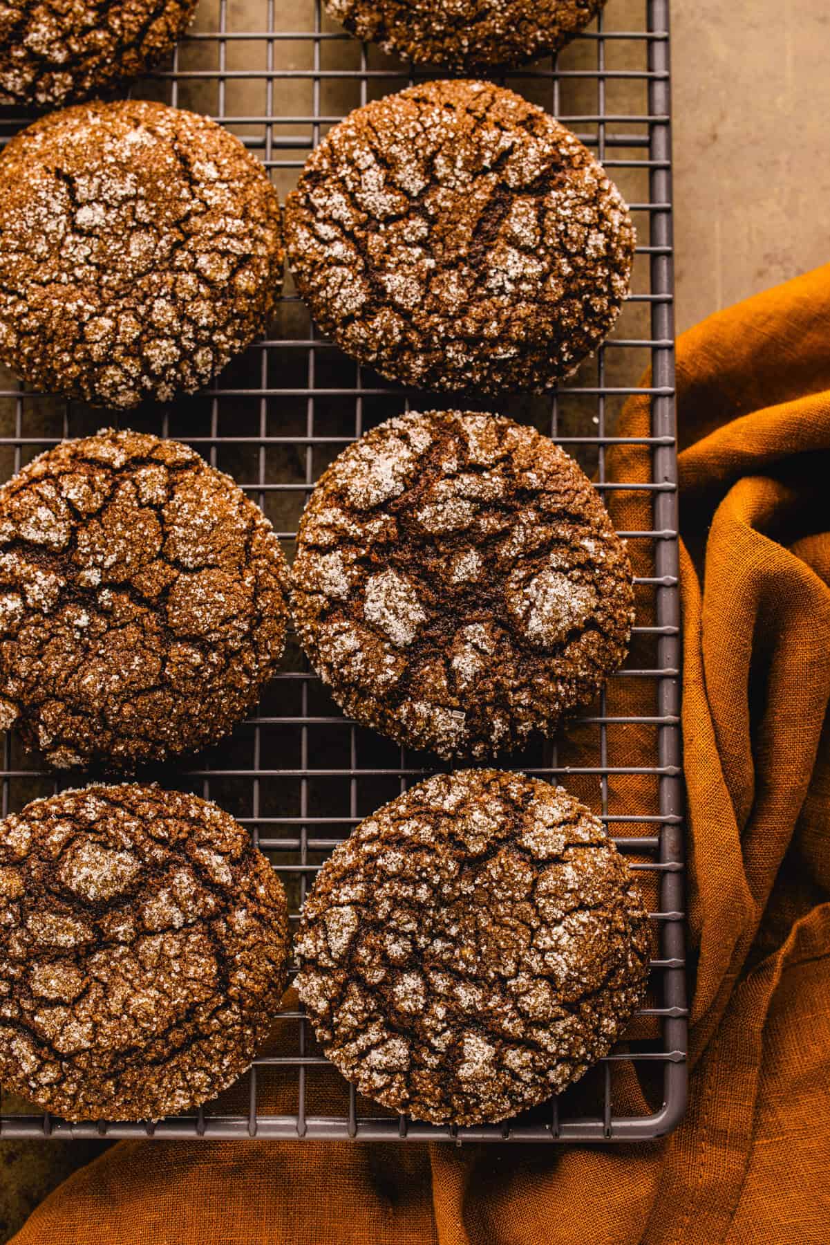 Plain Ginger molasses cookies without any toppings or decorations - on a rack on a dark background.
