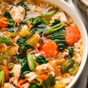 Asian Chicken and Rice Soup with Carrots, Bok Choy, and Rice - in a bowl.