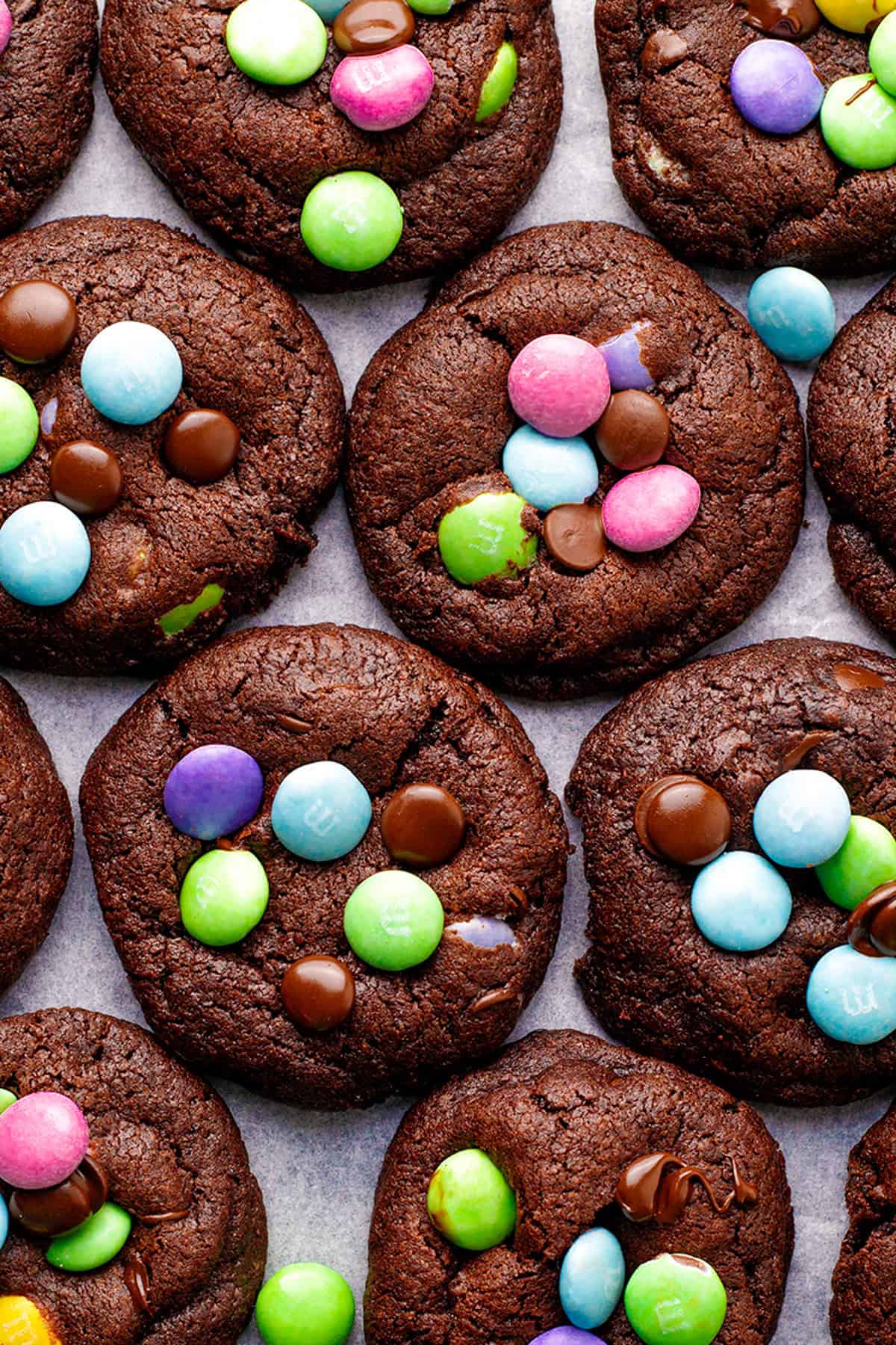Chocolate cookies topped with colorful candy-coated chocolates in shades of blue, green, pink, and purple, arranged closely together on a baking sheet.