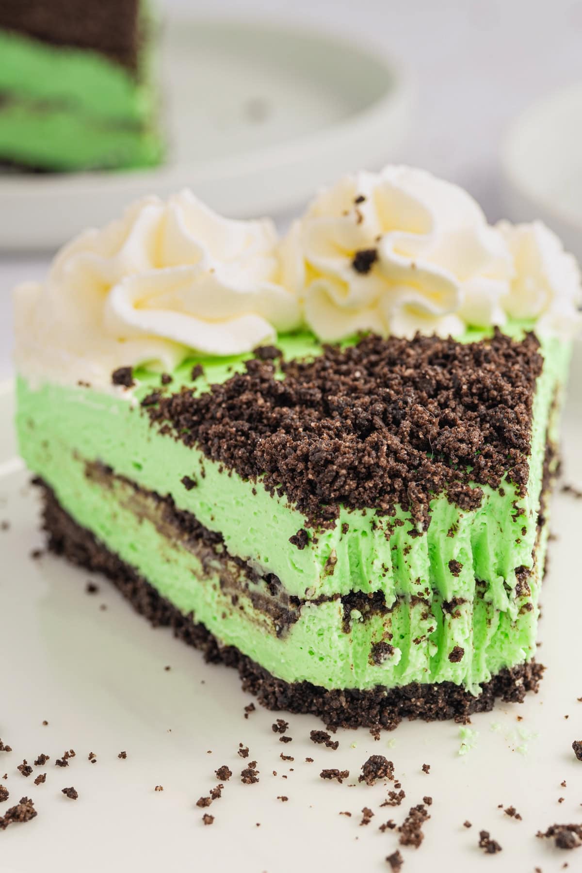 Grasshopper Cheesecake A slice of mint Grasshopper Cheesecake with a green creamy filling, chocolate cookie crumb layers, and topped with whipped cream, sitting on a white plate with crumbs around.