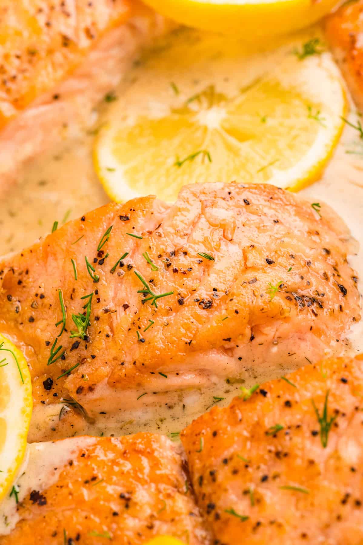Close-up of cooked salmon fillets topped with black pepper, fresh dill, and lemon slices, served in a creamy sauce.