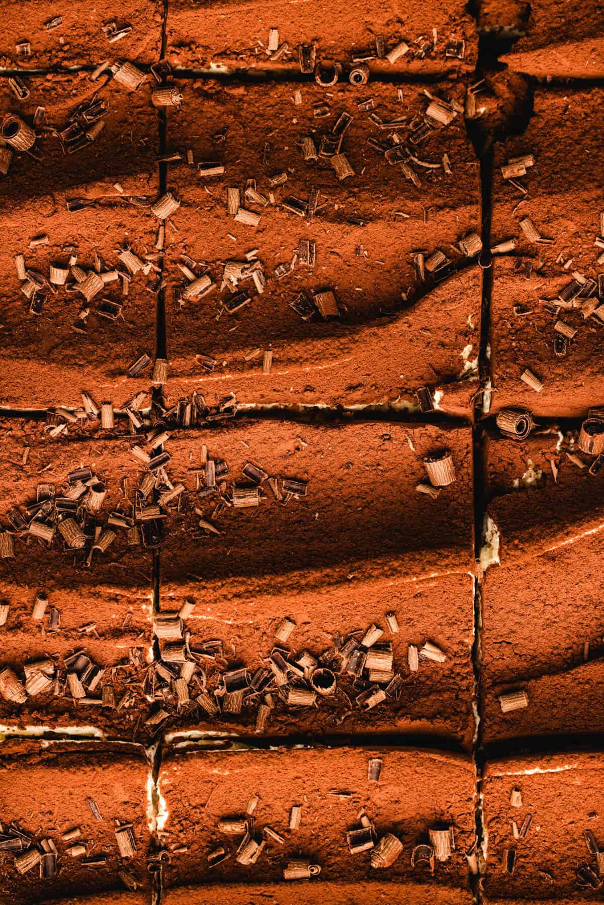 Classic Italian Tiramisu Close-up of classic tiramisu, with a dusting of cocoa powder and chocolate shavings on top. Cut into square pieces, its smooth texture features slight ridges and sprinkled toppings.