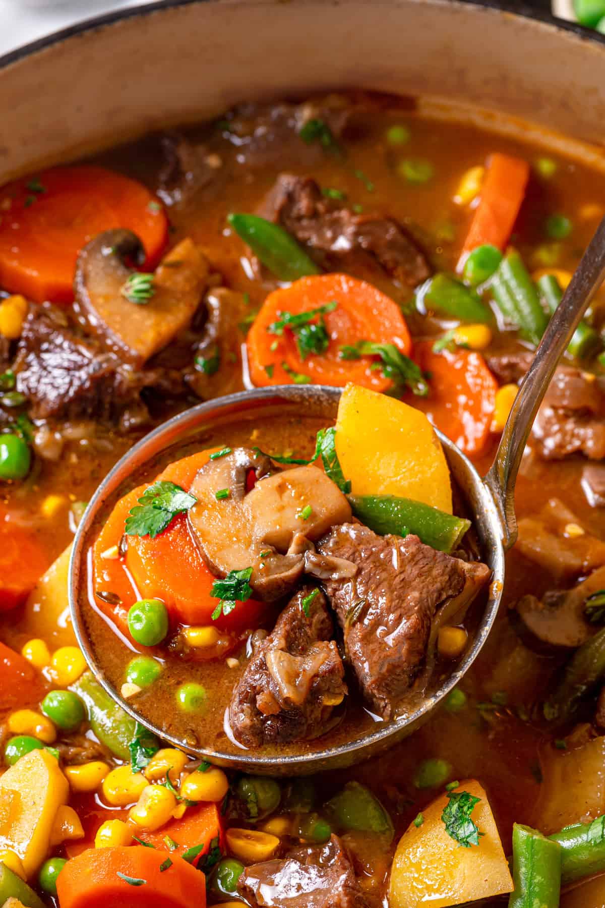 Mulligan Stew (Hobo Stew) Close-up of a ladle lifting hearty mulligan stew with chunks of beef, carrots, potatoes, green beans, peas, corn, mushrooms, and fresh herbs in a rich broth inside a pot.