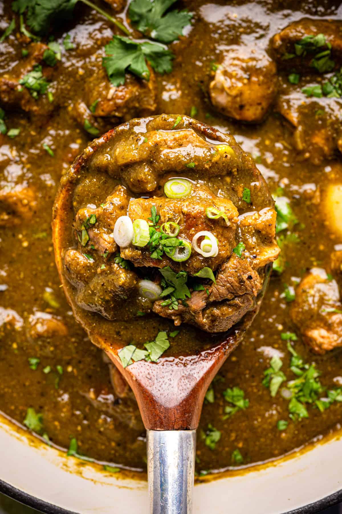 A close-up of a wooden spoon scooping a hearty serving of pork chile verde (green chile stew) garnished with sliced green onions and chopped cilantro from a pot filled with the savory, chunky dish.