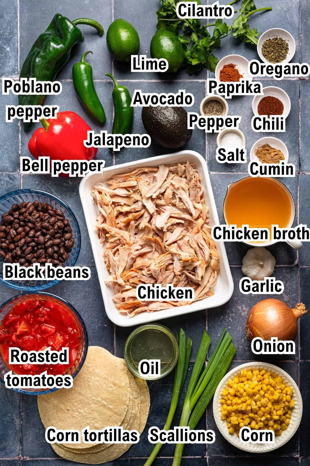 The Ingredients for Chicken Tortilla Soup This photo shows the ingredients for Chicken Tortilla Soup: A variety of labeled ingredients for making chicken tacos are arranged on a table, including shredded chicken, vegetables, spices, tortillas, black beans, roasted tomatoes, corn, and broth.