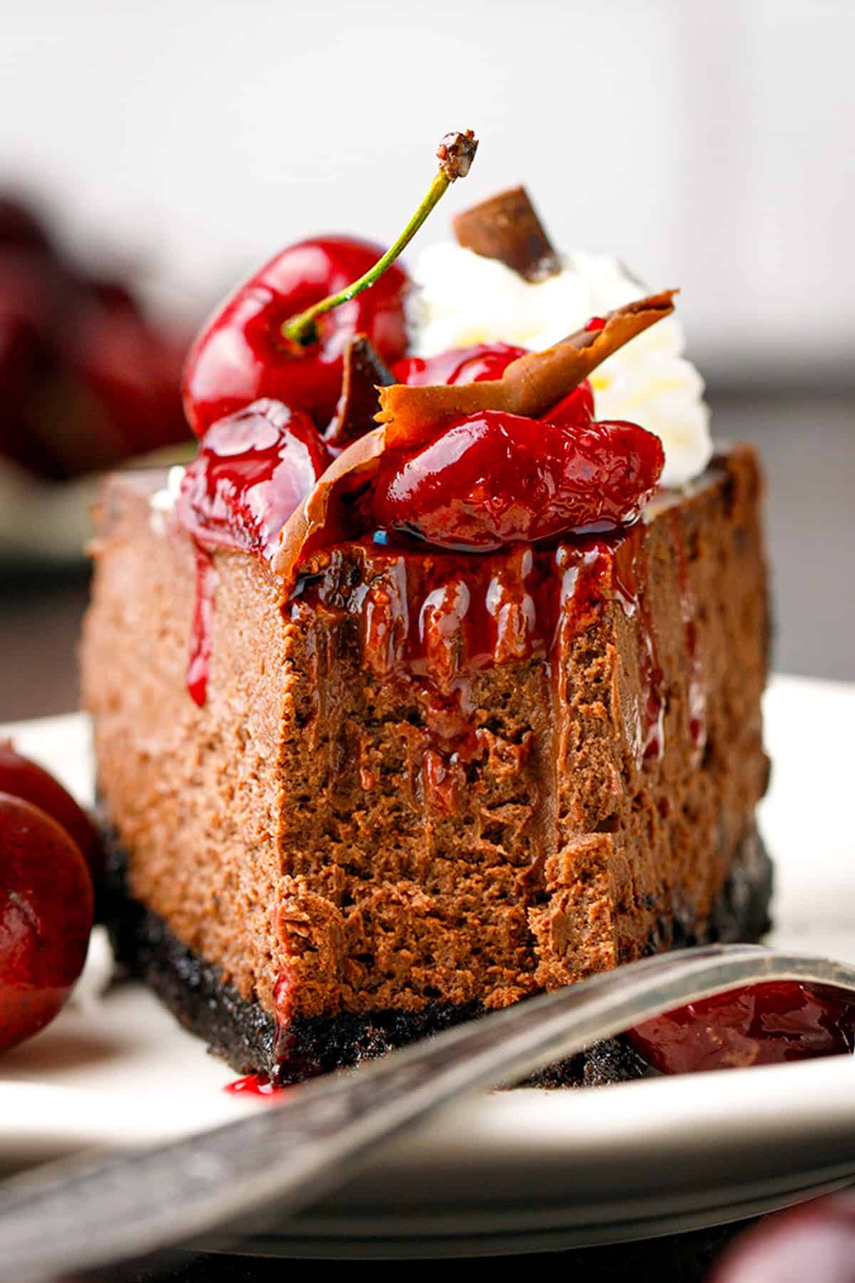 Black Forest Cheesecake A slice of chocolate cheesecake with a dark crust, topped with whipped cream, glossy cherries, and chocolate shavings.