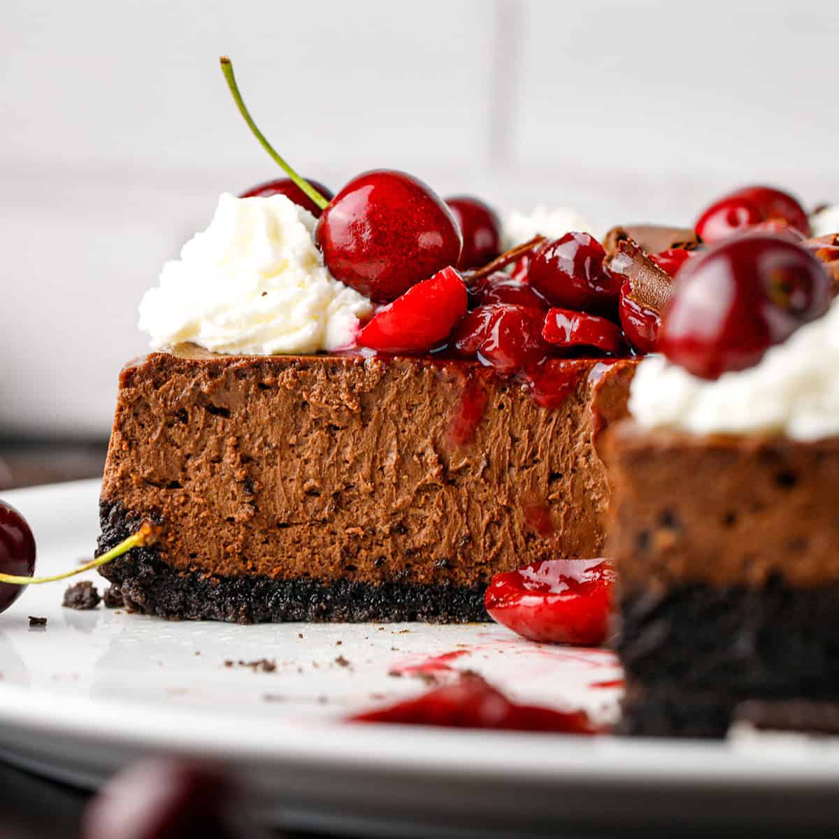 Black Forest Cheesecake A slice of chocolate cheesecake with a chocolate crust, topped with whipped cream and fresh cherries, sits on a white plate.
