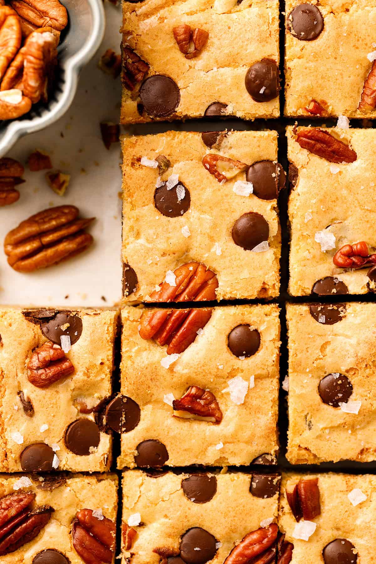 Blondies Sliced blondies topped with chocolate chips, pecans, and flaky sea salt.