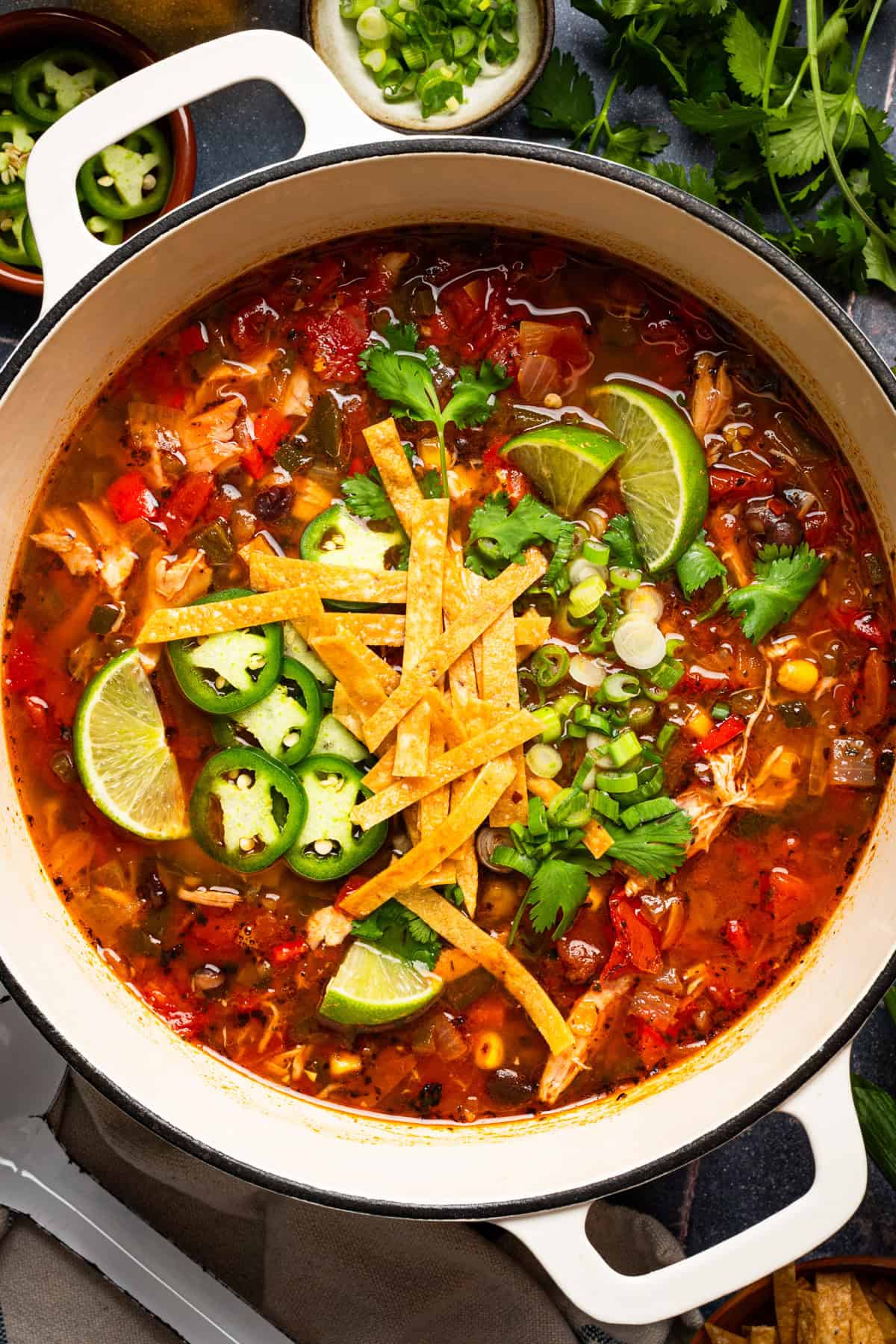 Chicken Tortilla Soup A pot of chicken tortilla soup topped with lime wedges, jalapeño slices, crispy tortilla strips, and green onions sits surrounded by fresh herbs and garnishes.