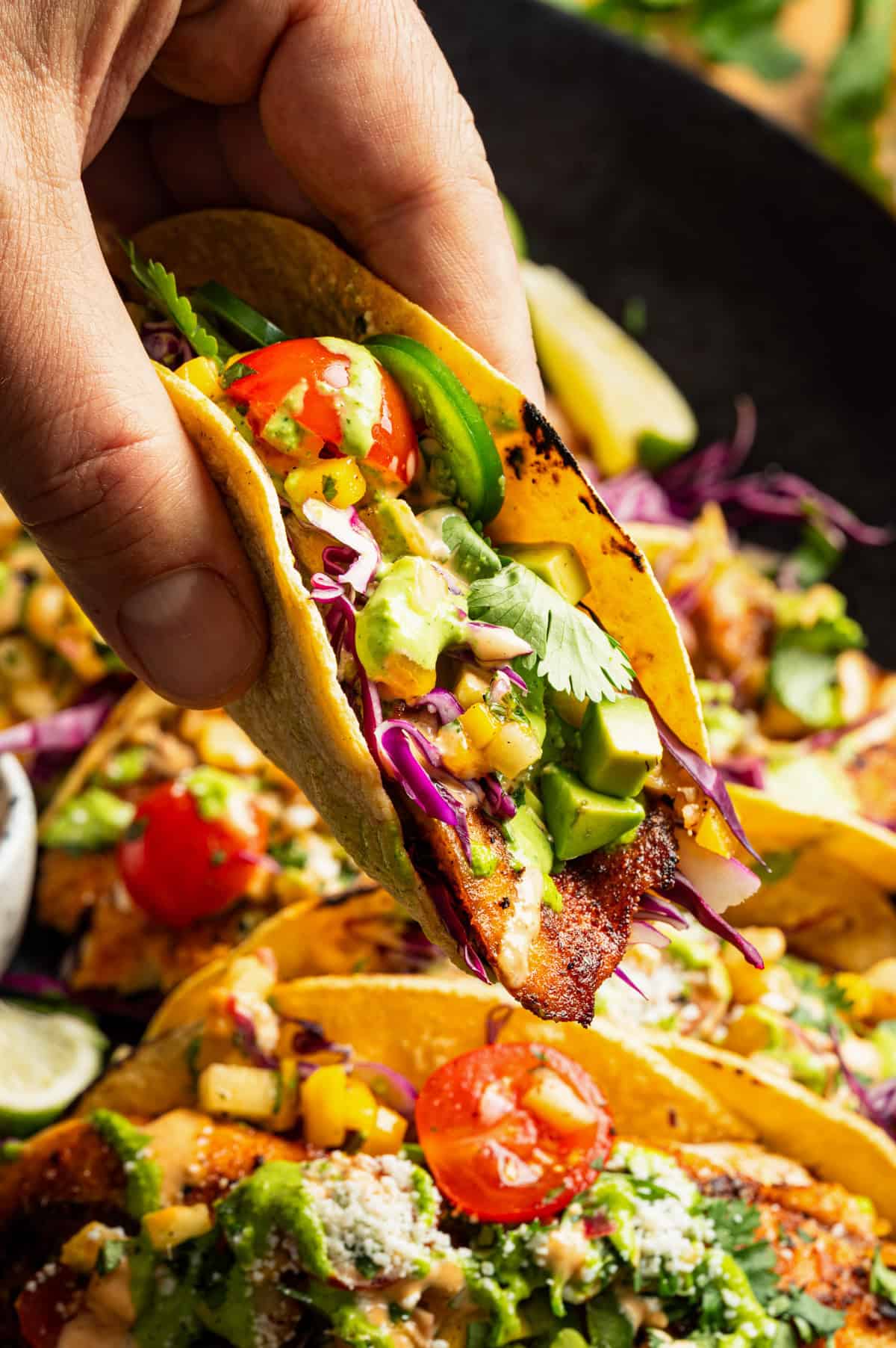 A hand holds a taco filled with grilled fish, cabbage, avocado, tomatoes, cilantro, and mango salsa. 