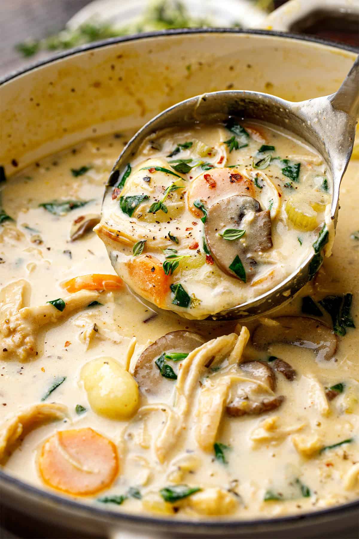 Chicken Gnocchi Soup A ladle scoops creamy chicken soup with carrots, mushrooms, celery, spinach, and herbs from a pot.