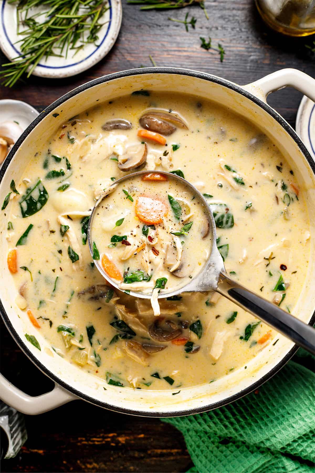 Chicken Gnocchi Soup A creamy chicken and vegetable soup in a pot, with carrots, mushrooms, spinach, and herbs. A ladle scoops up a serving from the soup.