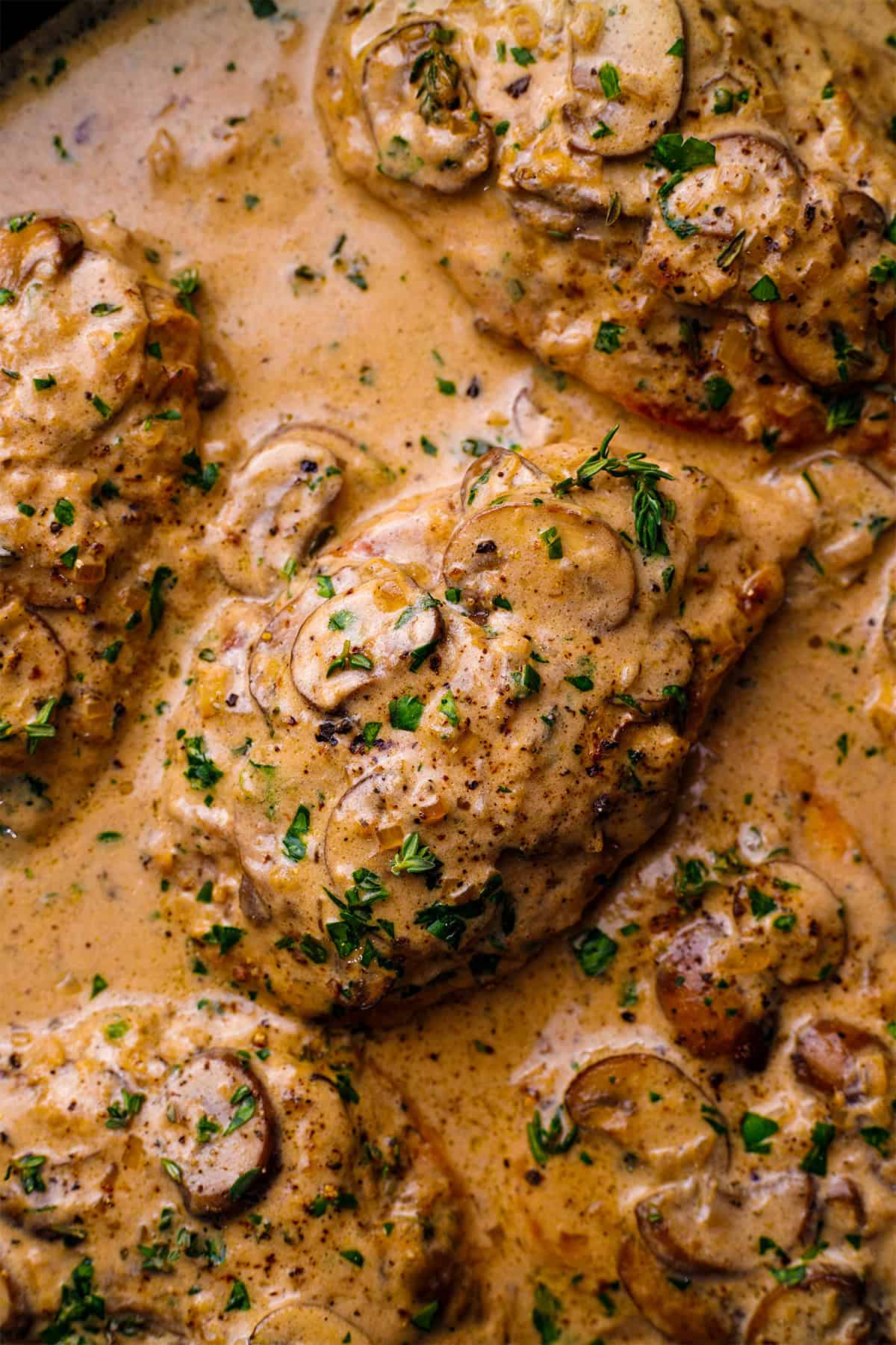 Chicken Marsala Chicken breasts cooked in a creamy mushroom sauce, garnished with chopped parsley.