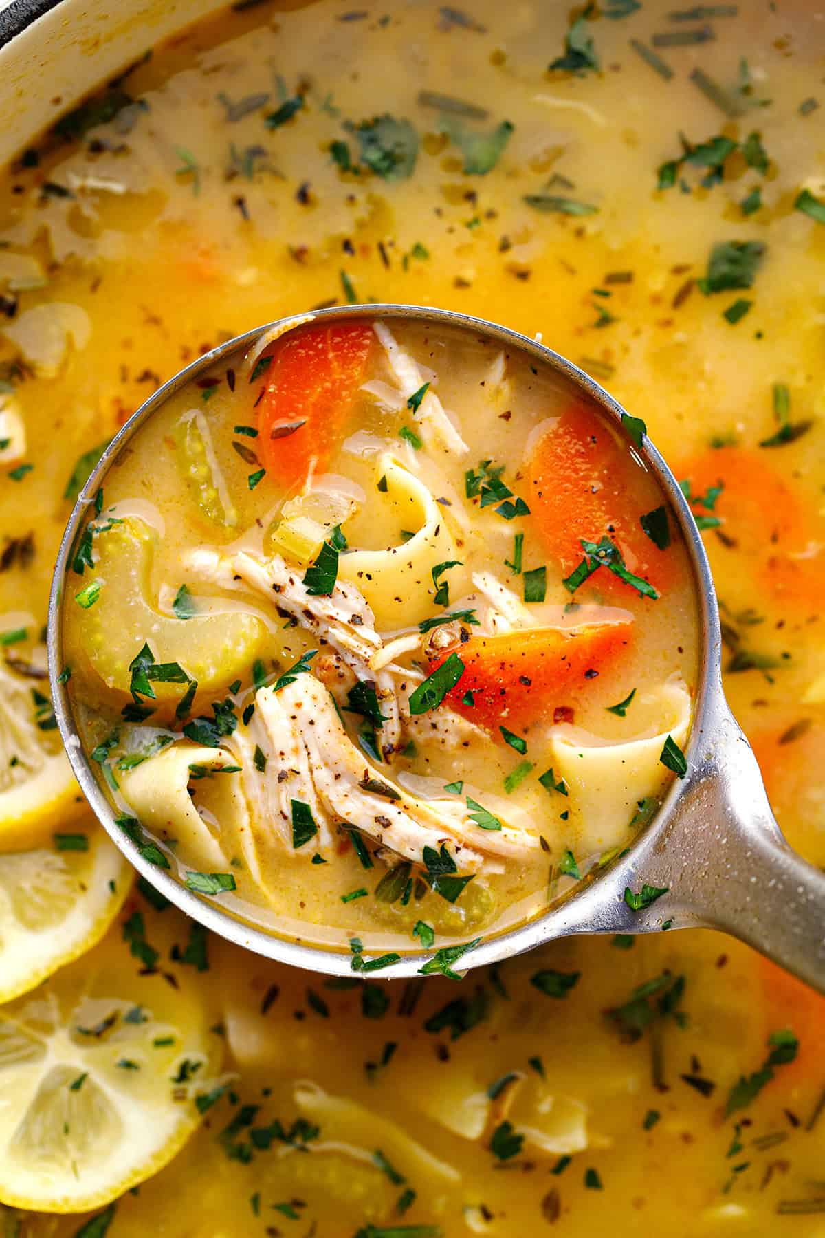 Chicken Noodle Soup A ladle filled with chicken noodle soup, containing shredded chicken, carrots, celery, egg noodles, and fresh herbs.