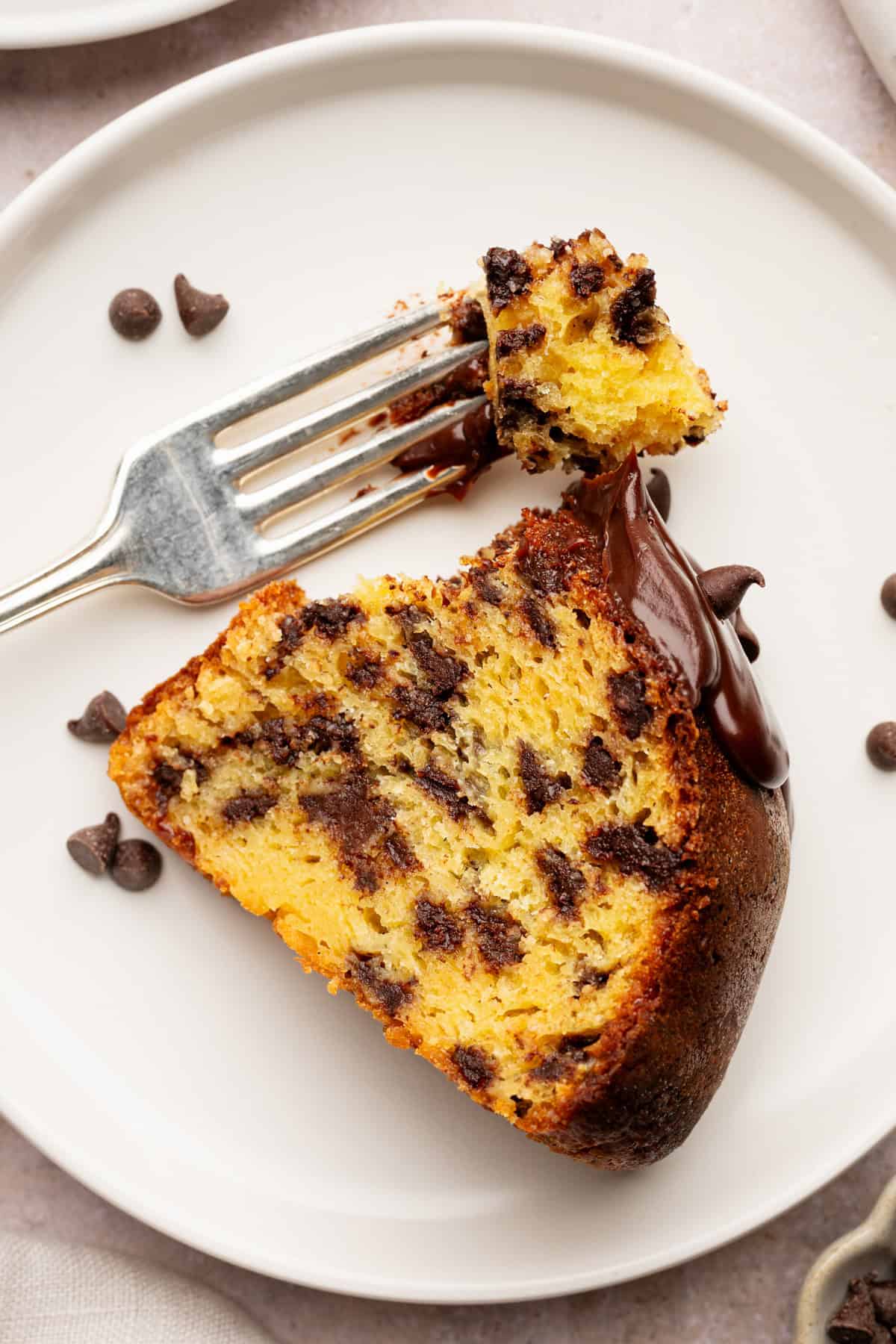 A slice of chocolate chip cake with a bite on a fork, topped with chocolate.