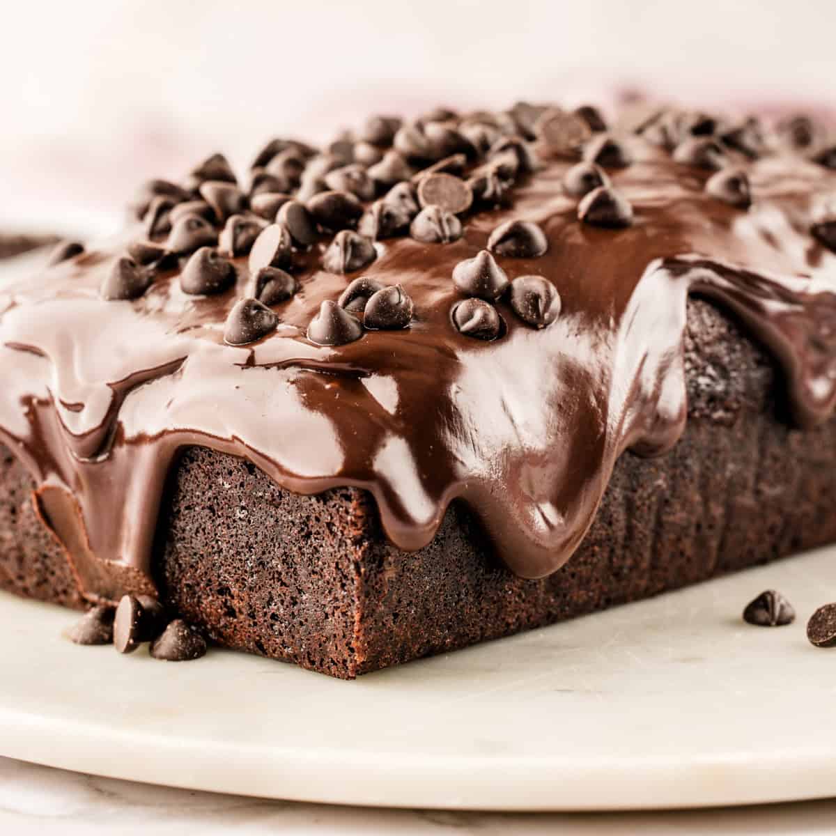 Chocolate Loaf Cake A chocolate loaf cake topped with glossy chocolate frosting and chocolate chips.